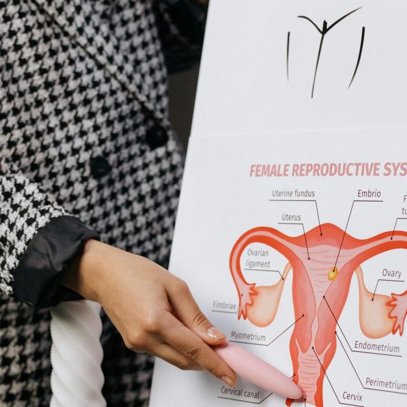 pexels-cottonbro-6770141